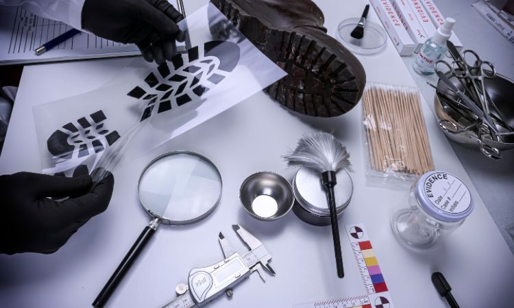 Cómo ser psicólogo forense: requisitos y oportunidades
