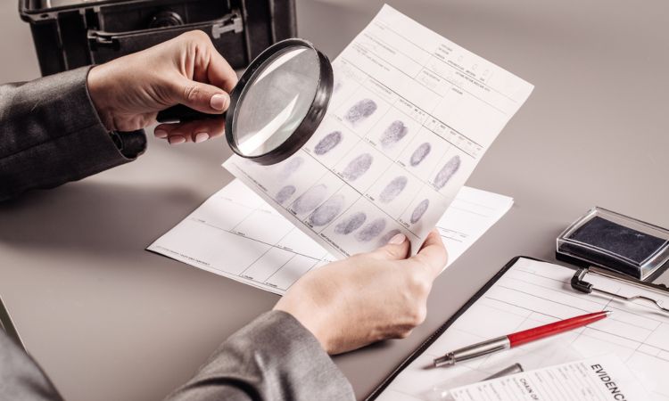 funciones y salidas profesionales