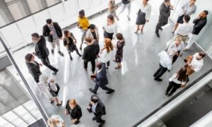 organizador de eventos